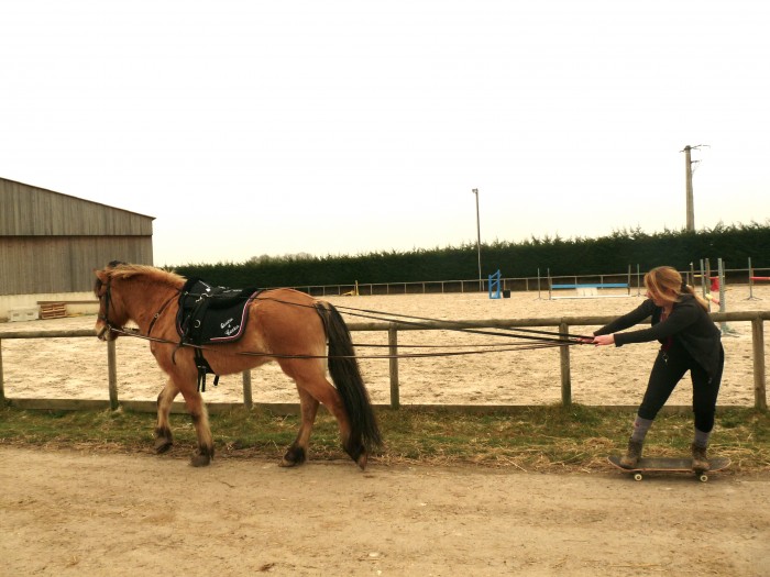 Photo de profil de seiga