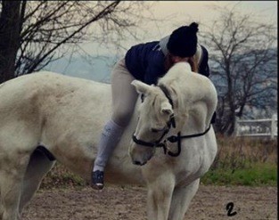 Photo de profil de mansour