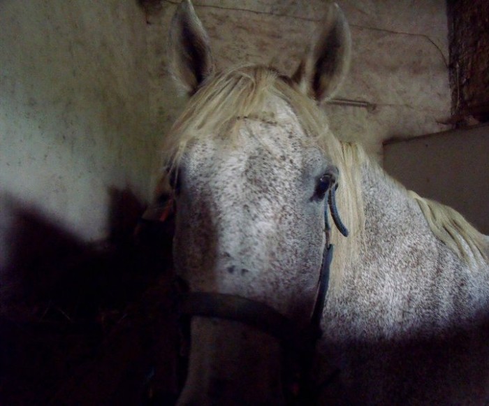 Photo de profil de laura4040
