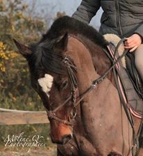 Photo de profil de emiliekal37