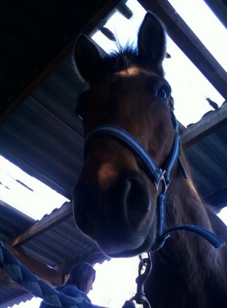 Photo de profil de emy2m