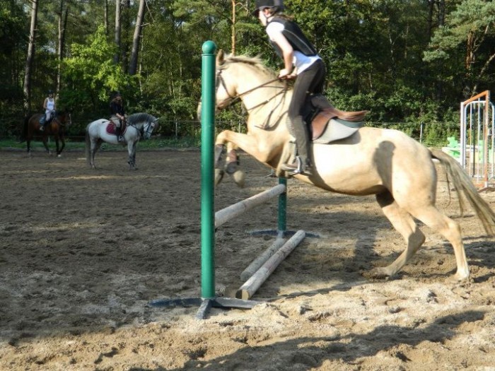 Photo de profil de laulodu35