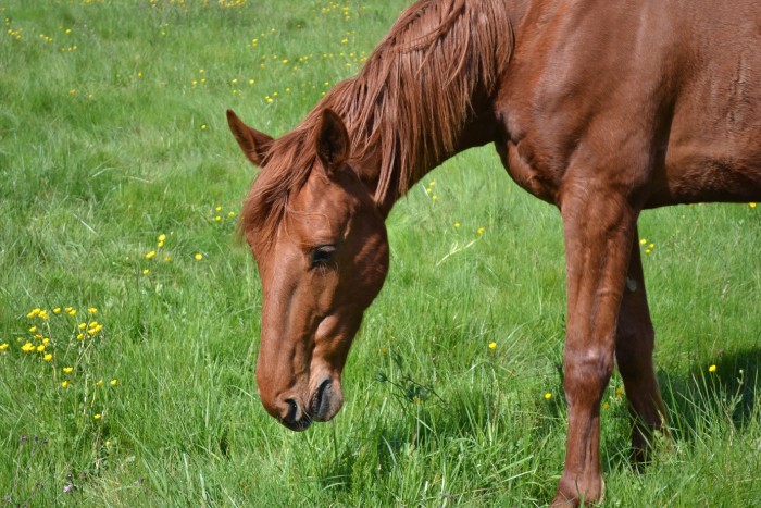 Photo de profil de ukapulco