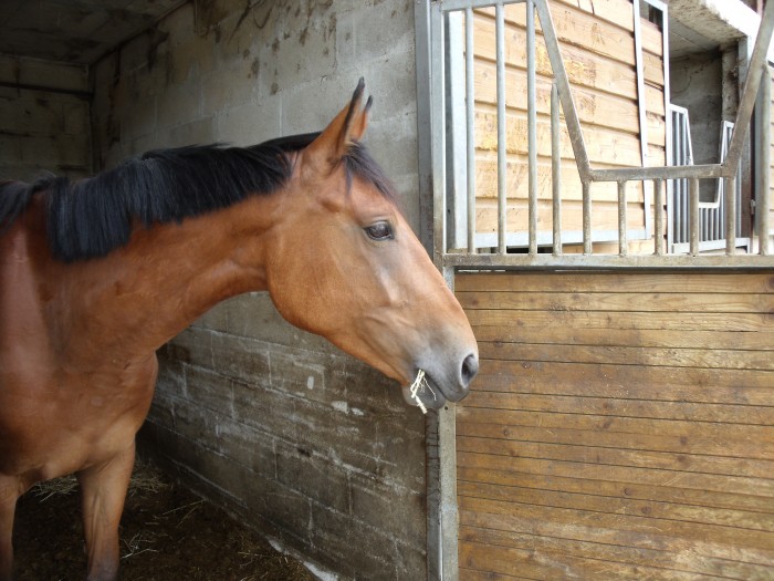 Photo de profil de bgn02