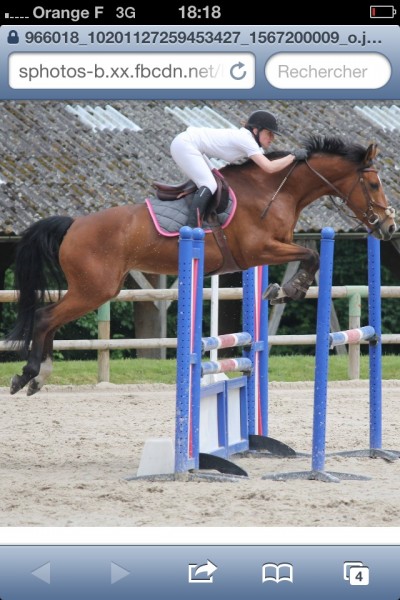 Photo de profil de emalu