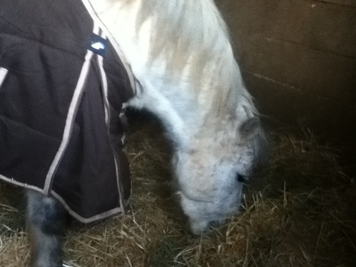 Photo de profil de emma.p