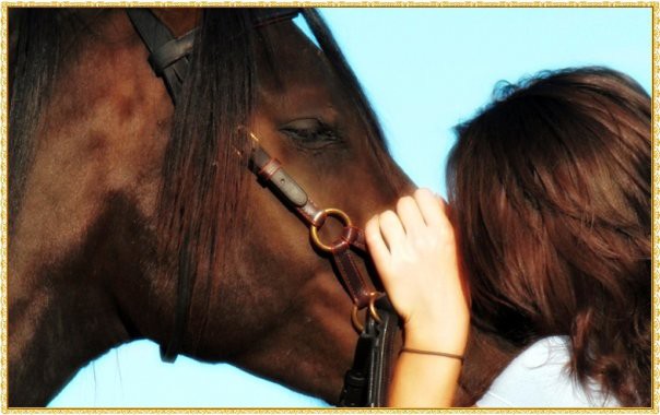 Photo de profil de equitherapie