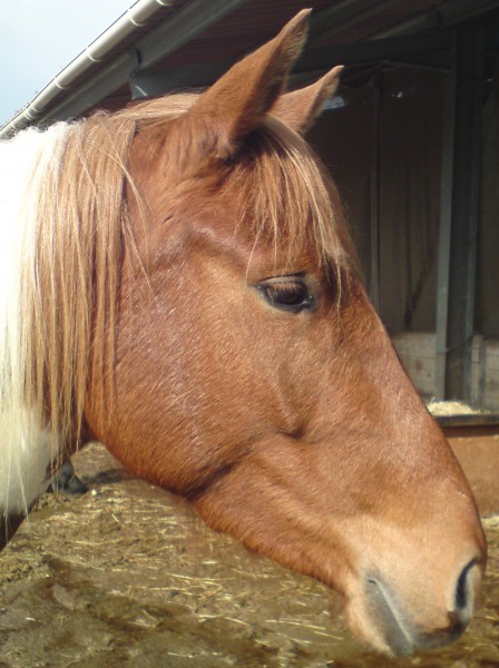 Photo de profil de vaness42