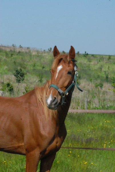 Photo de profil de cejunase