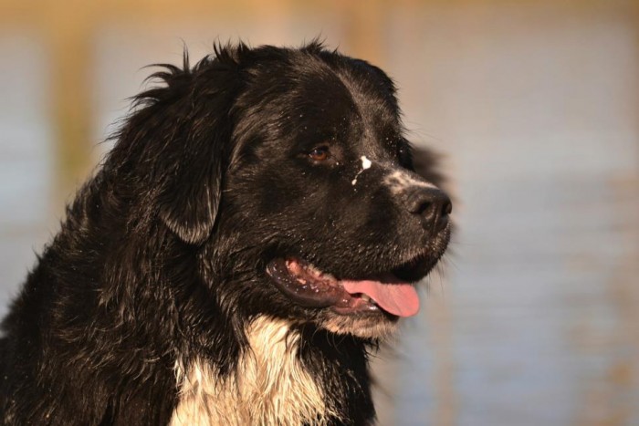 Photo de profil de coraliie