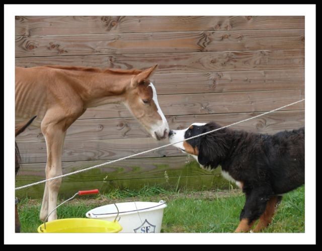 Photo de profil de marion99