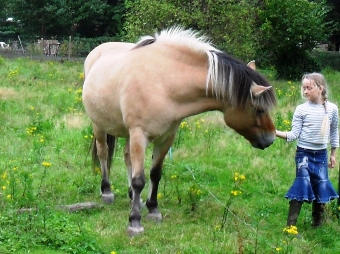 Photo de profil de gamara