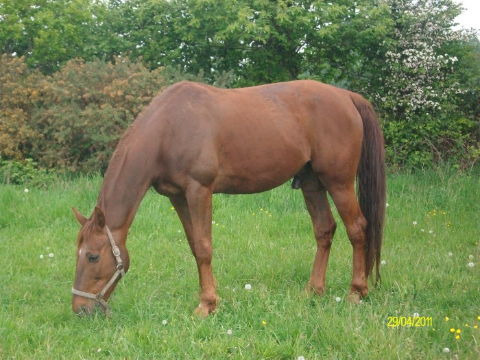 Photo de profil de tophe75011