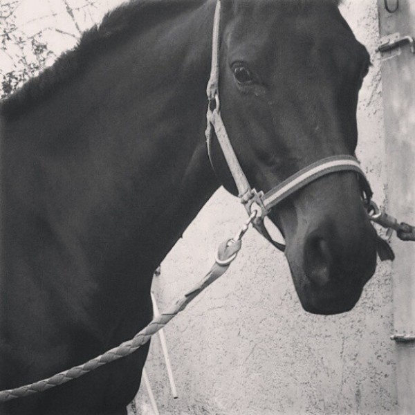 Photo de profil de julielrnt