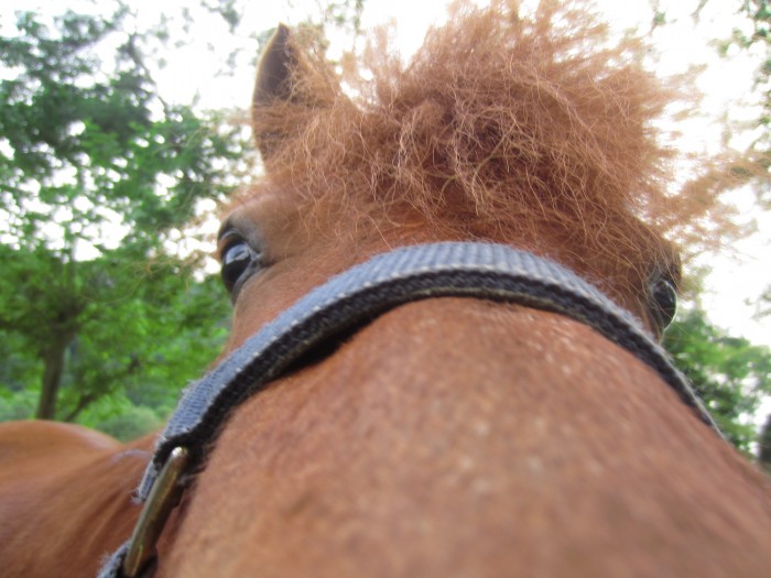 Photo de profil de lapetitecerise