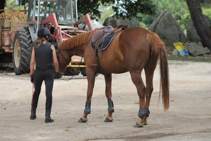 Photo de profil de maellle