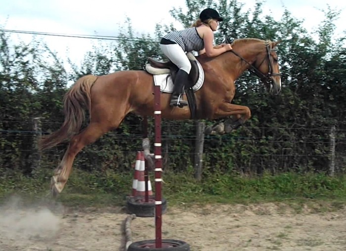 Photo de profil de univers49