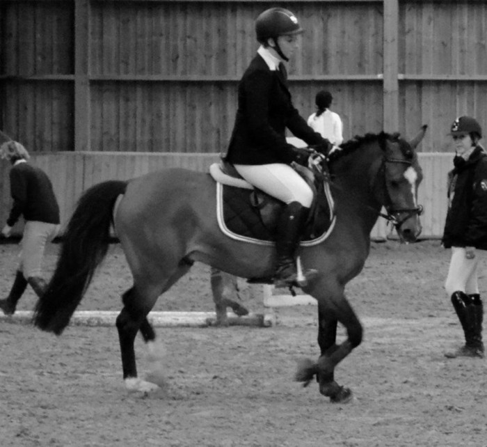 Photo de profil de ultimdream