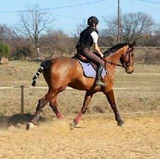 Photo de profil de fabalic34110