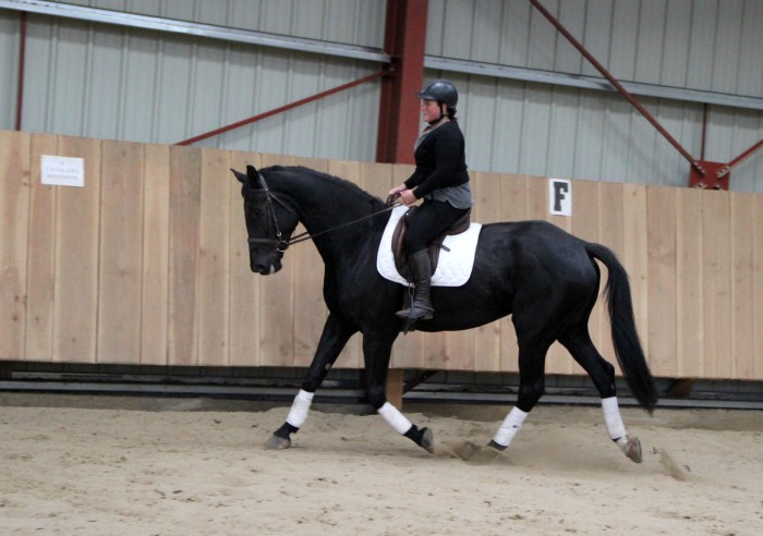 Photo de profil de juliec