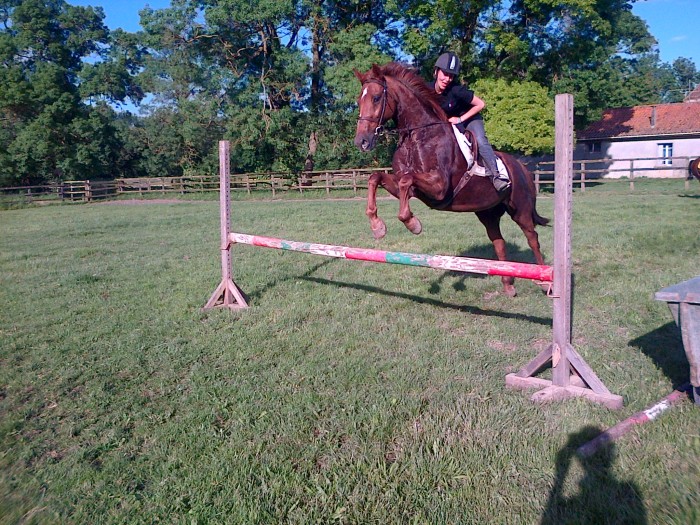 Photo de profil de mllexoceane