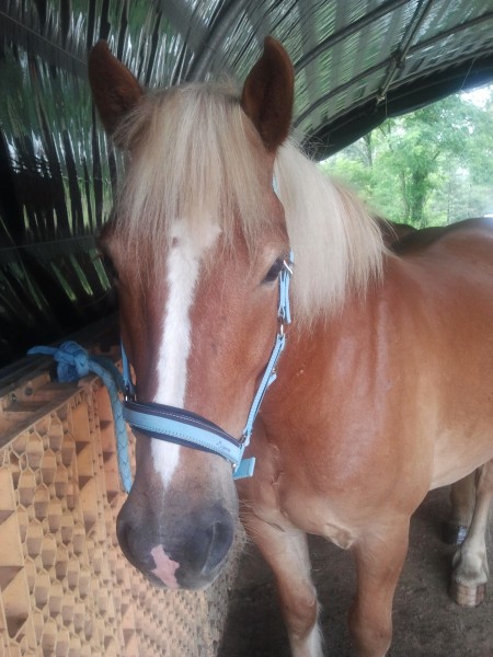 Photo de profil de savary