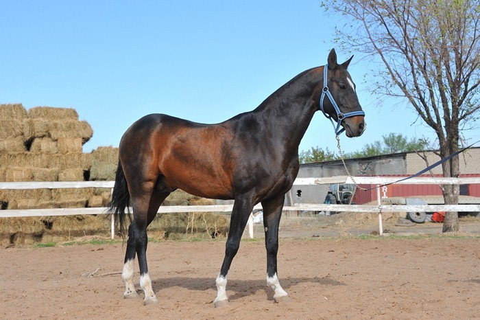 Photo de profil de yona100