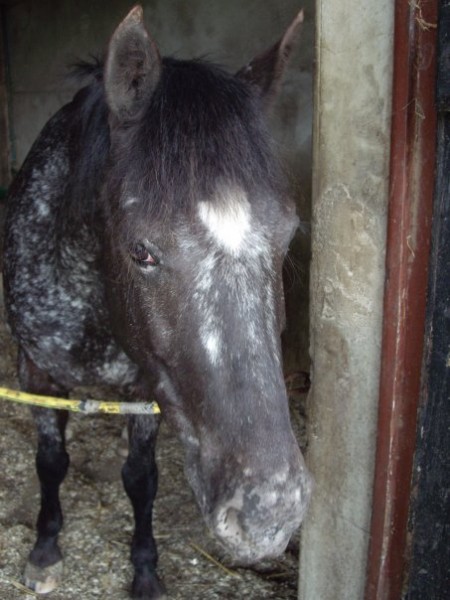 Photo de profil de arwen0299