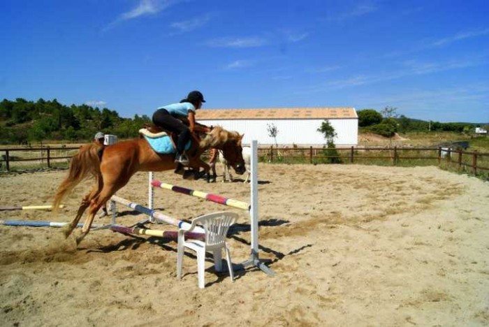 Photo de profil de kdiane