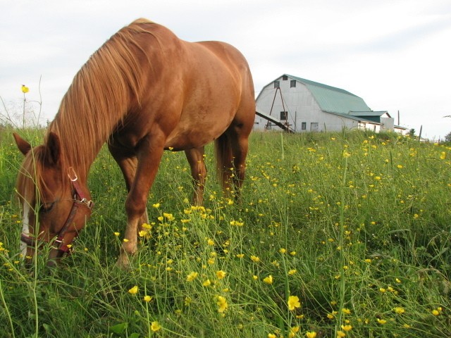 Photo de profil de cooper13