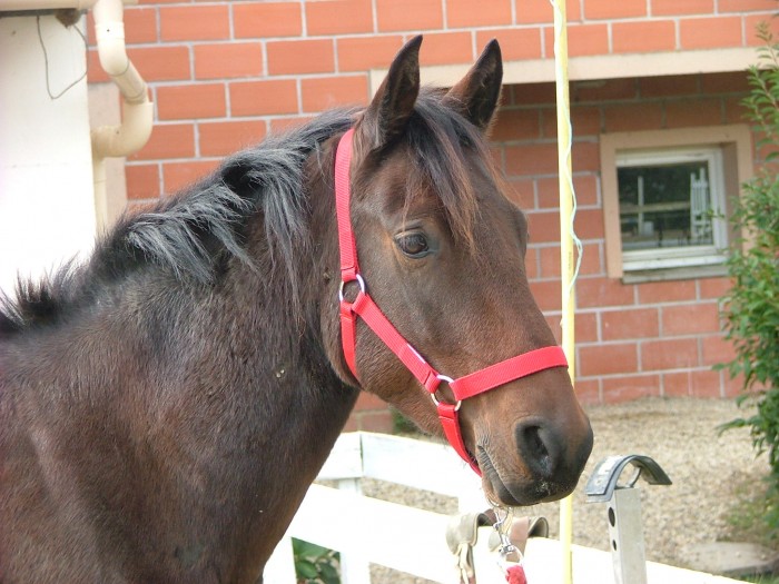 Photo de profil de mimpourdixy