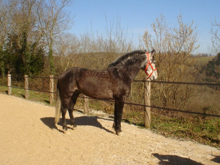 Photo de profil de ameelie1