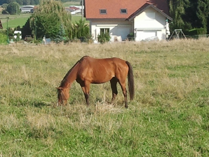 Photo de profil de ugine