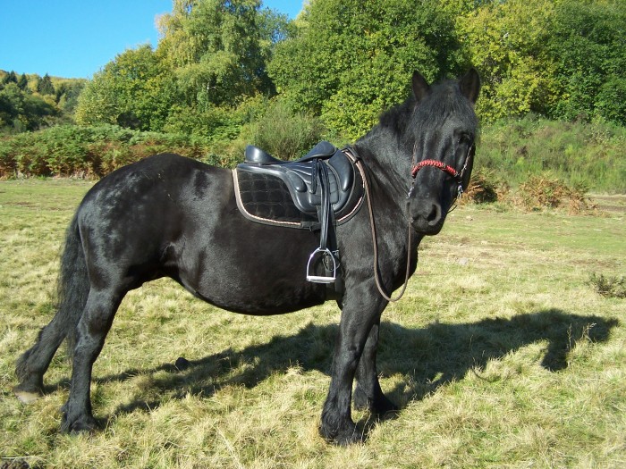 Photo de profil de qunram