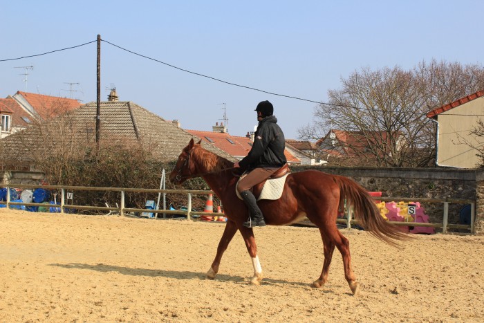 Photo de profil de chevaldu94