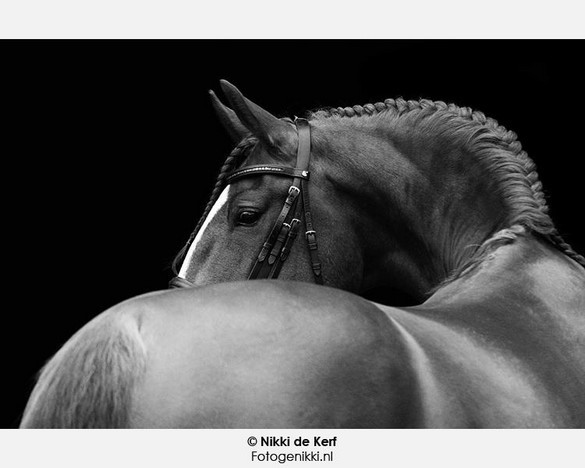 Photo de profil de tonto