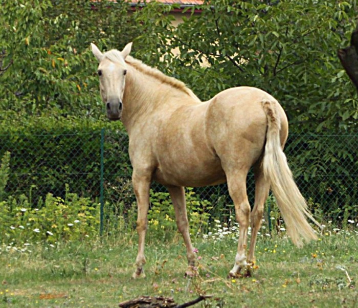 Photo de profil de kactus