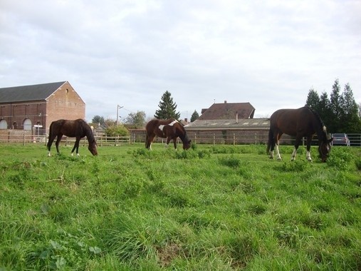 Photo de profil de nikkydu60