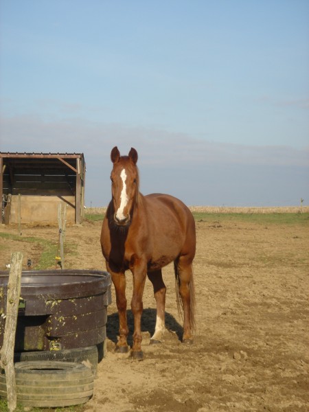 Photo de profil de gaelm