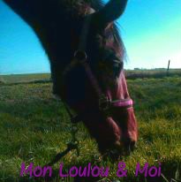 Photo de profil de xbluestar