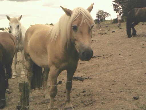 Photo de profil de lalann