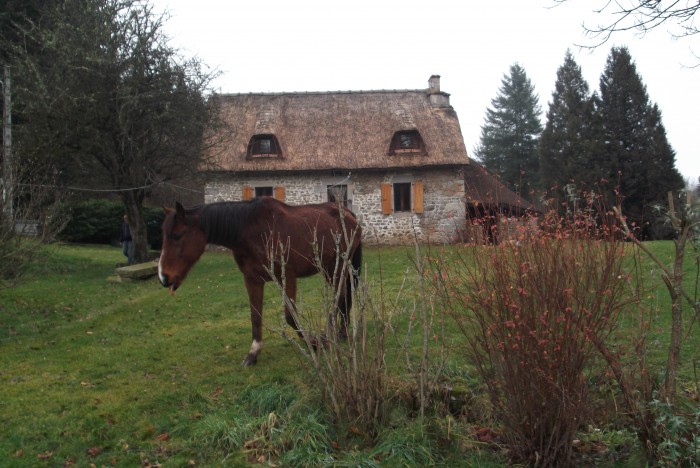 Photo de profil de taniadelair