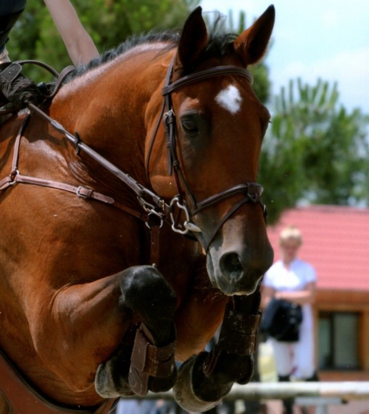 Photo de profil de d.jennequin