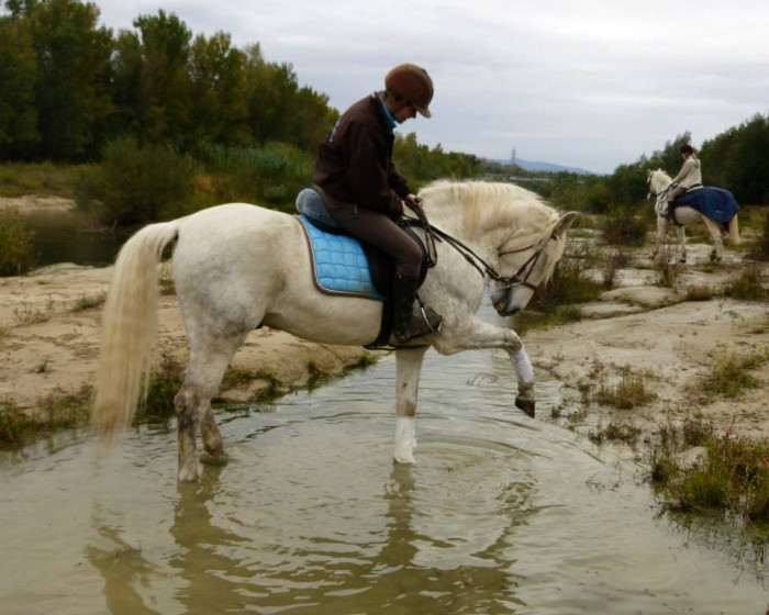 Photo de profil de madvecino