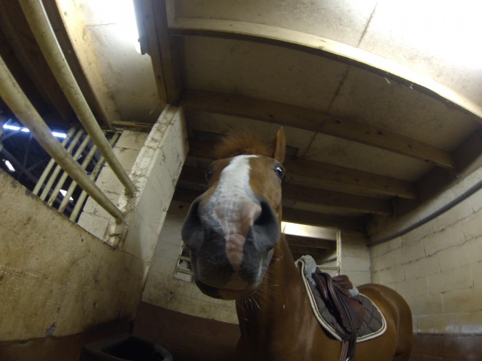 Photo de profil de pololecamping
