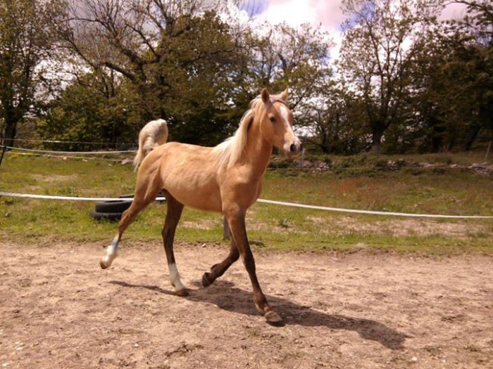 Photo de profil de marjorie26