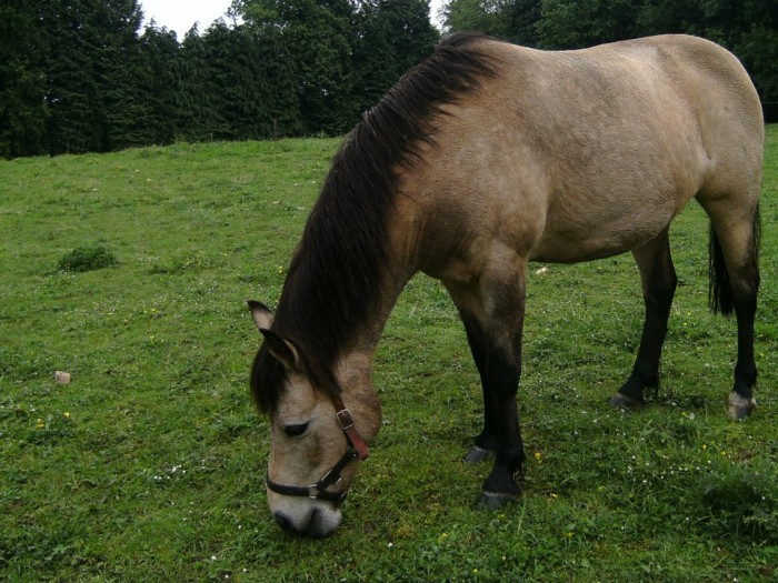 Photo de profil de galackmy