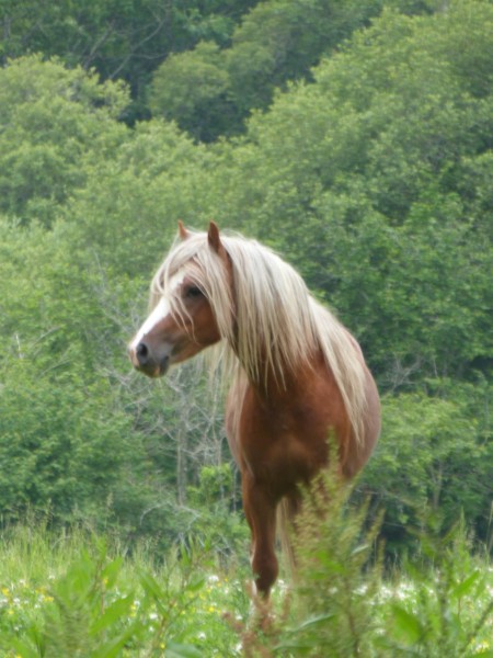 Photo de profil de lolita29450