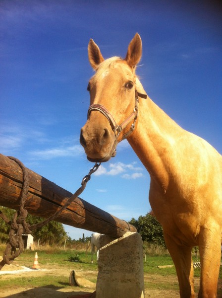 Photo de profil de mimifun