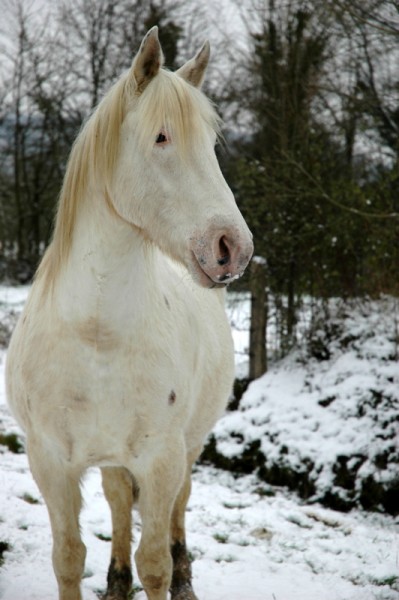 Photo de profil de vero14130
